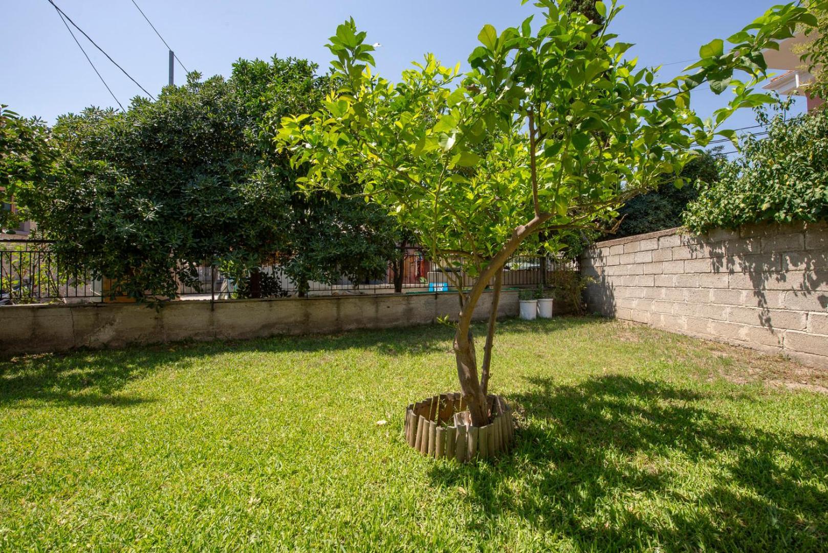 Mala - Μάλα Apartment Afytos Exterior photo